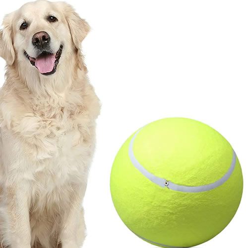 pelota gigante para perro
