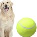 Pelota gigante para perros